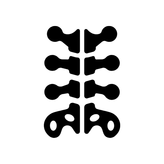 Lésions médullaires